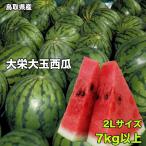 ショッピングスイカ すいか スイカ 訳あり 鳥取県産 大栄西瓜 2Lサイズ 7kg以上 ご家庭用 送料無料 大栄 すいか 大玉 西瓜 ギフト 父の日 7月上旬頃から