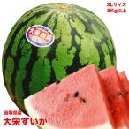 すいか スイカ 贈答用 鳥取県産 大栄西瓜 秀品 3Lサイズ 8kg以上 送料無料 大栄 すいか 大玉 西瓜 ギフト 父の日