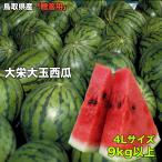 すいか スイカ 贈答用 鳥取県産 大栄西瓜 秀品 4Lサイズ 9kg以上 送料無料 大栄 すいか 大玉 西瓜 ギフト 父の日