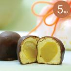 和菓子 珠の栗 5個入 お供え お供え物 志 栗 チョコ お菓子 お取り寄せ ギフト 老舗 高級 内祝 お祝い お礼 プレゼント 老舗 高級 大彌