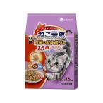 猫用ドライフード