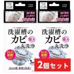 【まとめ買い】クリーンプラネット 洗濯槽のカビ 強力丸洗浄 1回分×2セット　カビ汚れごっそり！ 99.9％除菌 洗濯槽 クリーナー