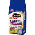 猫用ドライフード