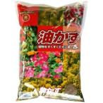 SUNBELLEX масло .1kg