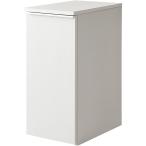 【I】宮武製作所 ドロワーダストボックス ホワイト DB-F1200 新生活 インテリア 家具 おしゃれ デザイン 【代引不可】