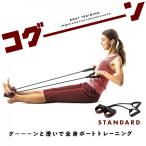 La-VIE(ラヴィ) コグーン スタンダード 3B-4068   トレーニング 健康器具 癒し リラックス