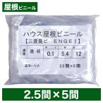 ショッピングビニール ビニールハウス用屋根ビニール（透明） ２.５間×５間  ５.４m×１２ｍ  厚み０.１ｍｍ  ハウスビニール