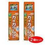 【在庫有・即納】【まとめ買い】 住友化学園芸 カイガラムシ エアゾール 480ml 2本セット 殺虫剤 庭木 ばら 約1ヵ月持続 害虫 越冬成虫 対策 ジェット噴射