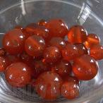 天然石パワーストーンビーズ「ワンコ...