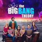 北米版 ビッグ・バン・セオリー シーズン11 Big Bang Theory, The: The Complete Eleventh Season (BD) [Blu
