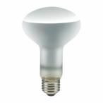 エルパ ERF110V100W-L 長寿命レフランプ 100W家電:照明器具:電球・点灯管/グロー球