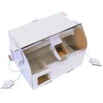 夏休み自由研究宿題自由工作ダンボー...