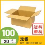 �_���{�[�� �i�{�[���� ��z100�T�C�Y�ő�K�i�T�C�Y 400�~300�~�[��200mm 20���Z�b�g