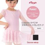 [ ограниченное количество ] балет Leotard ребенок Kids юбка есть kape geo 3948C
