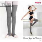  взрослый * унисекс соответствует длинный гетры 75cm вязаный материалы колени накладка имеется светло-серый | ножек длина * маленький видно эффект 