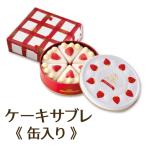 サブレミシェル ケー