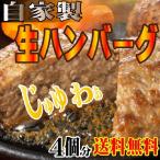 送料無料　お試し用手作り生ハンバーグ4個入　肉汁ジューシーお肉たっぷり　2セット以上購入でおまけ付