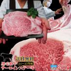 送料無料　黒毛和牛A4