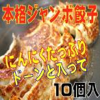 本格ジャンボ餃子　ド〜ンと入って10個入