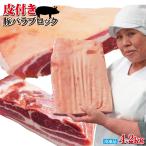 豚肉、豚ホルモン