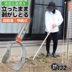  золотой . удобно .. . пилинг эластичный косить .. стружка .... садоводство садоводство 