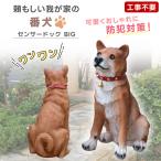 ショッピングオーナメント 庭 置物 犬 ガーデンオーナメント 吠える ビッグリキ 本物そっくり 明暗センサー 感知式 犬型 動物 リアル ワンワン 柴犬 防犯センサー