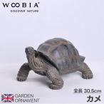 カメ 亀 オーナメント ガーデンオーナメント 置物 ガーデニング 置き物 園芸 リアル 精巧 アニマル 動物 かわいい オブジェ 人形 庭作り woobia 直送