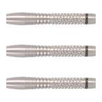 TRiNiDAD PRO(トリニダードプロ) SALDIVAR Type4(サルディバル タイプ4) 2BA 中西永吉選手モデル　(ダーツ バレル ダーツセット)