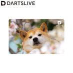 DARTSLIVE CARD #060 ＜06＞　(ダーツ カード)