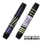 SALE ダーツ バレル アストラダーツ A