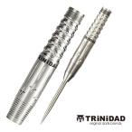 ダーツ バレル TRiNiDAD PRO MOMO2 STEEL トリニダード プロ モモ2 スティール (ポスト便OK/5トリ)