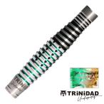 ダーツ バレル TRiNiDAD Undisputed RICARDO 