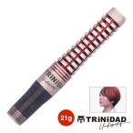 ダーツ バレル TRiNiDAD Undisputed ROMERO2 