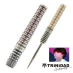 ダーツ バレル TRiNiDAD Undisputed KID3 後