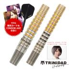TiTO限定 ダーツ バレル TRiNiDAD Romero3 