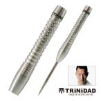 ダーツ バレル TRiNiDAD PRO Saldivar4 中西永吉 選手考案モデル トリニダード プロ サルディバル4 (ポスト便OK/5トリ)