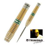 ショッピング予約 予約でP10倍 ダーツ バレル TRiNiDAD Undisputed RICARDO3 浅田斉吾 選手モデル トリニダード アンディスピューティド リカルド3 (ポスト便OK/5トリ)