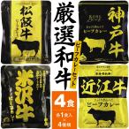 （厳選和牛 4種セット