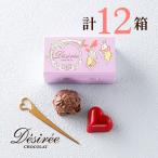 ショッピングチョコ デジレー ショコラ2個入(計12箱セット+ミニチョコBOX4箱) 1903年創業ベルギー老舗ブランド バレンタイン チョコ 2026 ギフト