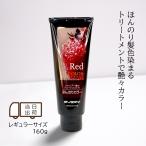 アンナドンナ エブリ カラー トリートメント レッド 160g カラーリング 赤 白髪 annadonna every 爆買