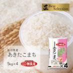ショッピング無洗米 無洗米 あきたこまち 20kg(5kg×4袋) 秋田県産 令和5年産