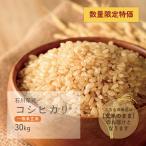 コシヒカリ 一等米玄米 30kg 石川県産 令和4年産