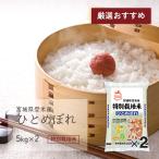 ひとめぼれ10kg宮城県登米産特別...