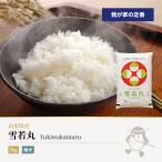  снег . круг 5kg Yamagata префектура производство . мир 7 год производство 