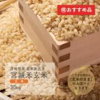 宮城米玄米  農家直送米 30kg 宮城県産 未検査米
