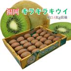  Fukuoka префектура . женщина производство ~ Kirakira киви ~ 24~30 шар производство земля коробка семья .. День отца День матери подарок .. семья подарок подарок на Bon Festival подарок по случаю конца года O-Bon 