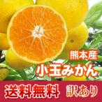 みかん 熊本産 訳あり 小玉 温州 １０kg 送料無料   九州 熊本 早生 極早生 みかん 柑橘  栄養 効能 カロリー 旬 甘い こたつ