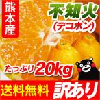 不知火（ デコポン と同品種 ） 熊本産 訳あり ご家庭用  ２０kg（10kg×2）  送料無料  （ デコポン みかん オレンジ 完熟 九州 熊本 )