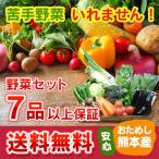 熊本・九州産 野菜セット 定番野菜 7品以上保証 送料無料 クール便 熊本 九州 野菜 盛り合わせ 食材 グルメ ご当地 ギフ ト母の日 父の日 お中元 お歳暮