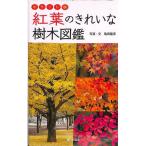 【50％OFF】ポケット版　紅葉のきれいな樹木図鑑